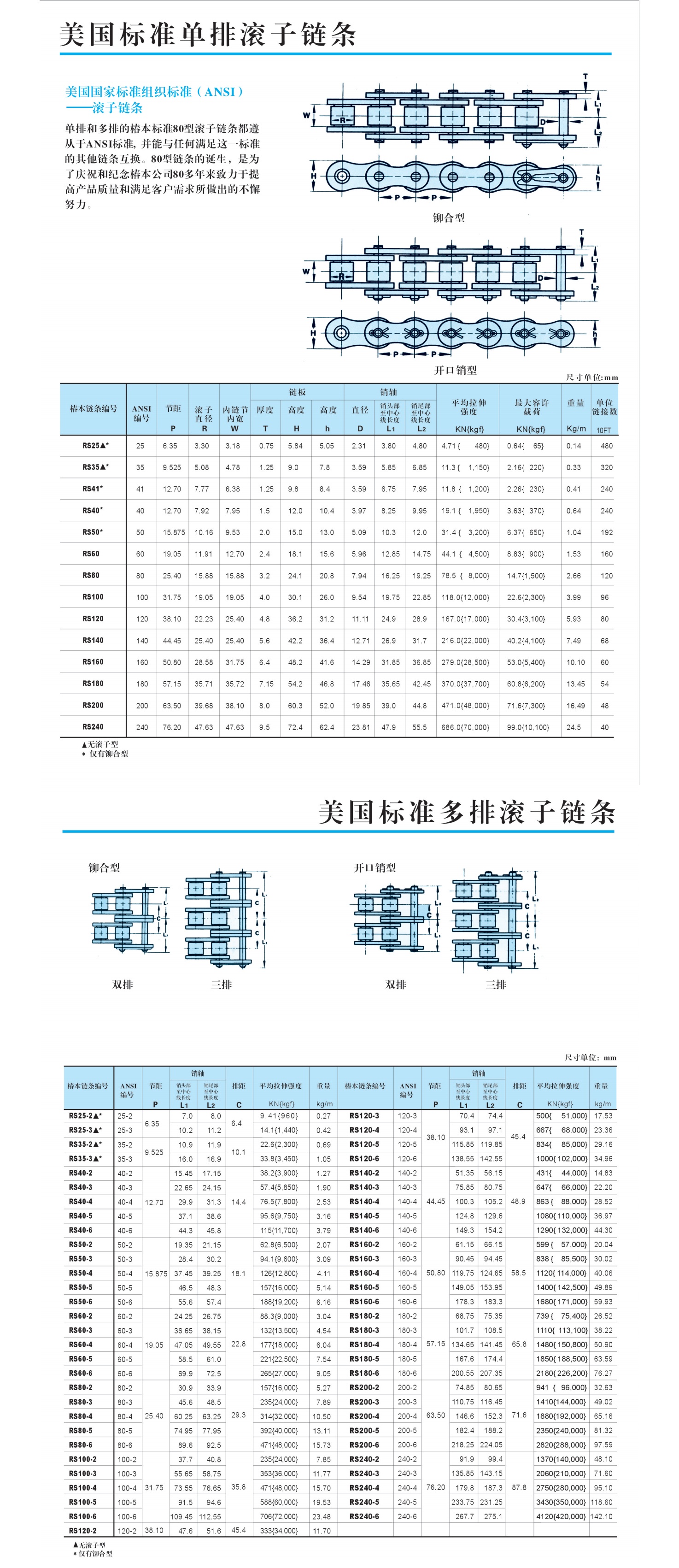 美國(guó)標(biāo)準(zhǔn)單排滾于鏈分_01(1)_看圖王.jpg